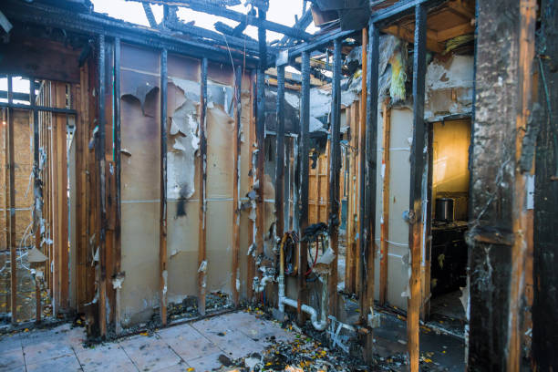 Professional Fire Damage Removal technician working in Geraldine, AL